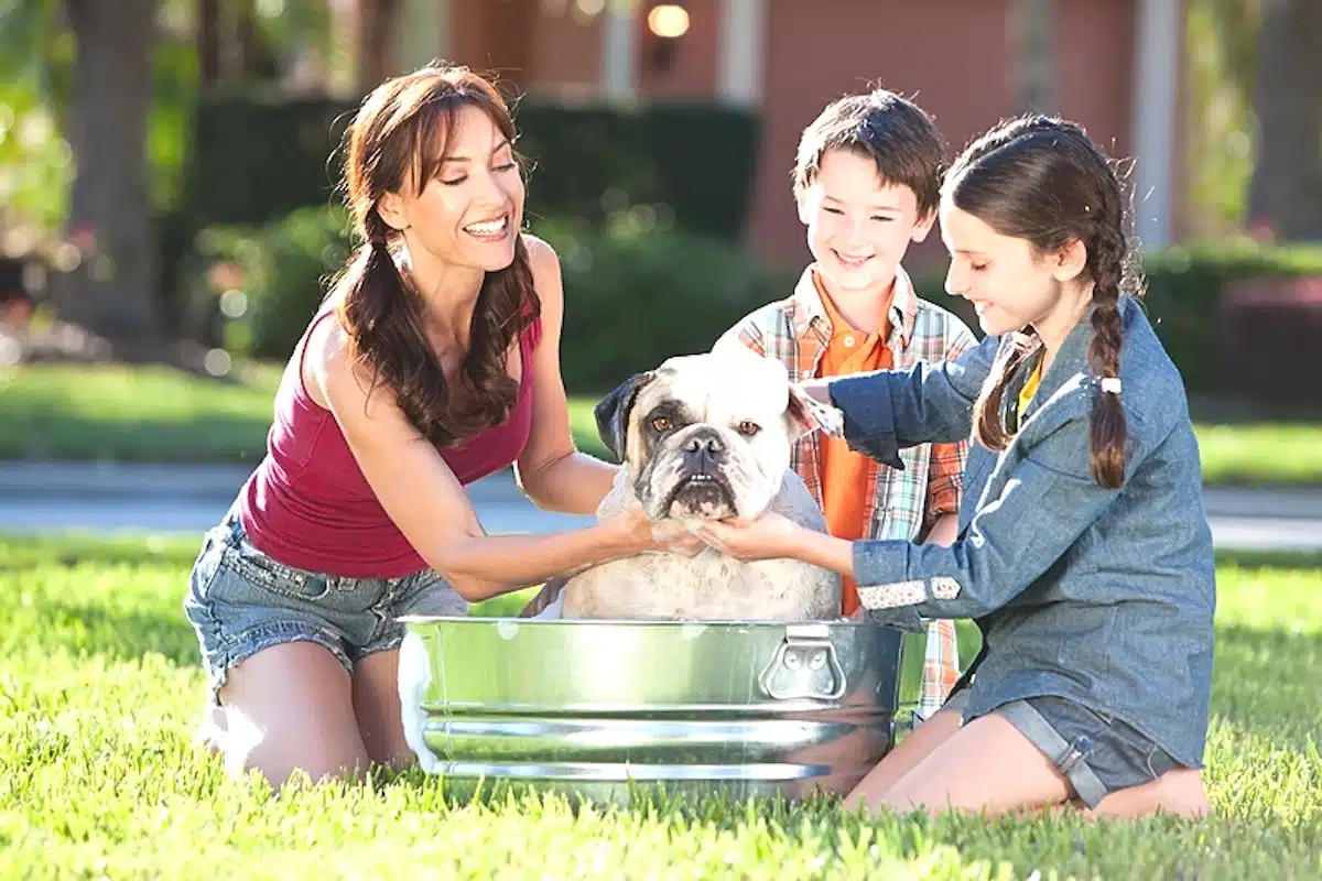 A mom teaching her kids dog grooming by bathing their dog.