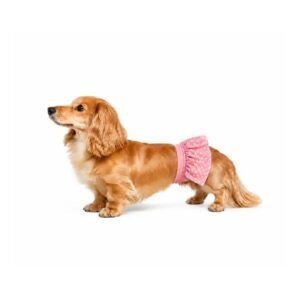 facebook_bellyband_3_1080x1080 - Dog-Breeds.net dog diaper